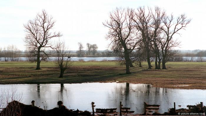 Bildergalerie - Grünes Band