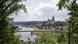 Weinberg von Schloss Proschwitz Weinberg von Schloss Proschwitz