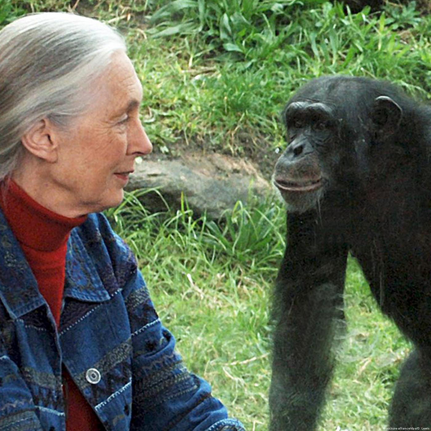 Living Planet: A rare breed