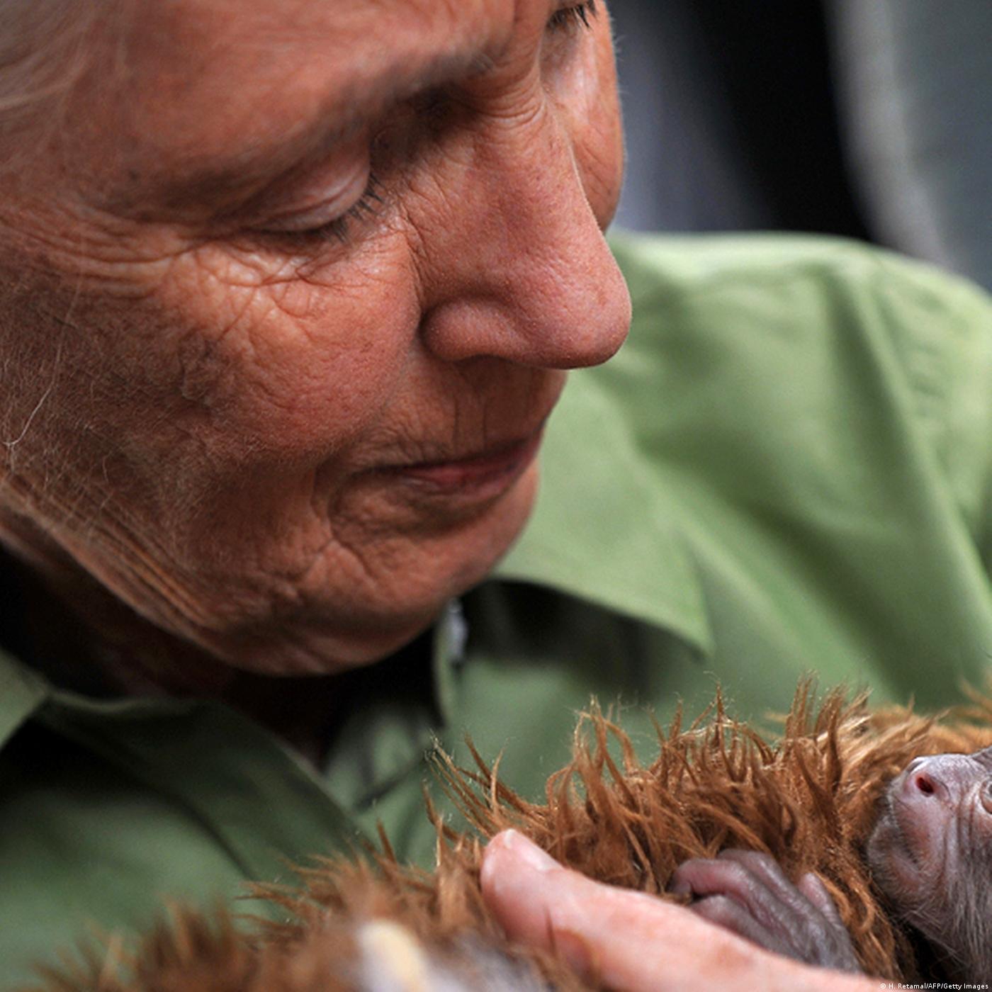 Living Planet: A rare breed
