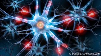 Symbolbild Gehirn Nervenzellen Synapsen (Foto: psdesign1/Fotolia.com)