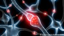 © psdesign1 - Fotolia.com