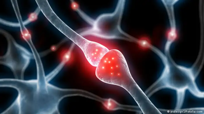 Symbolbild Gehirn Nervenzellen Synapsen