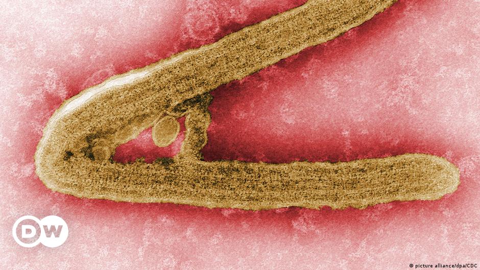 Wie gefährlich ist das Marburg-Fieber in Westafrika?