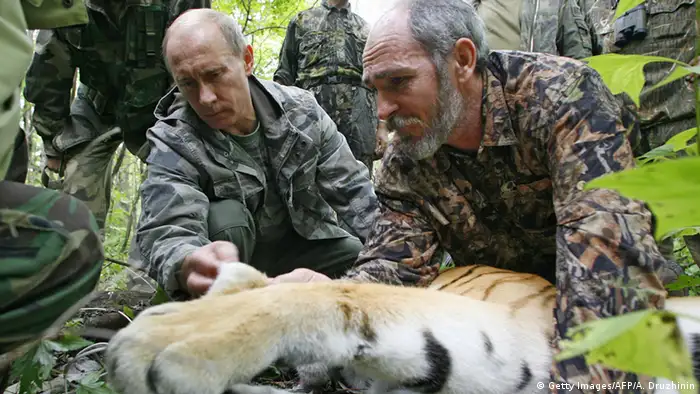 Vladimir Putin mit betäubtem Tiger