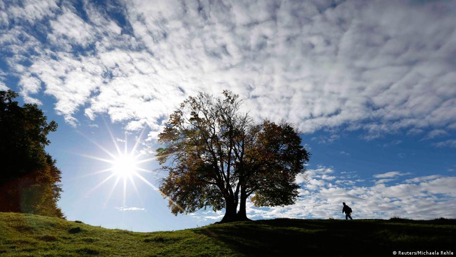 Why can't we replicate photosynthesis in the lab? DW 09/23/2016