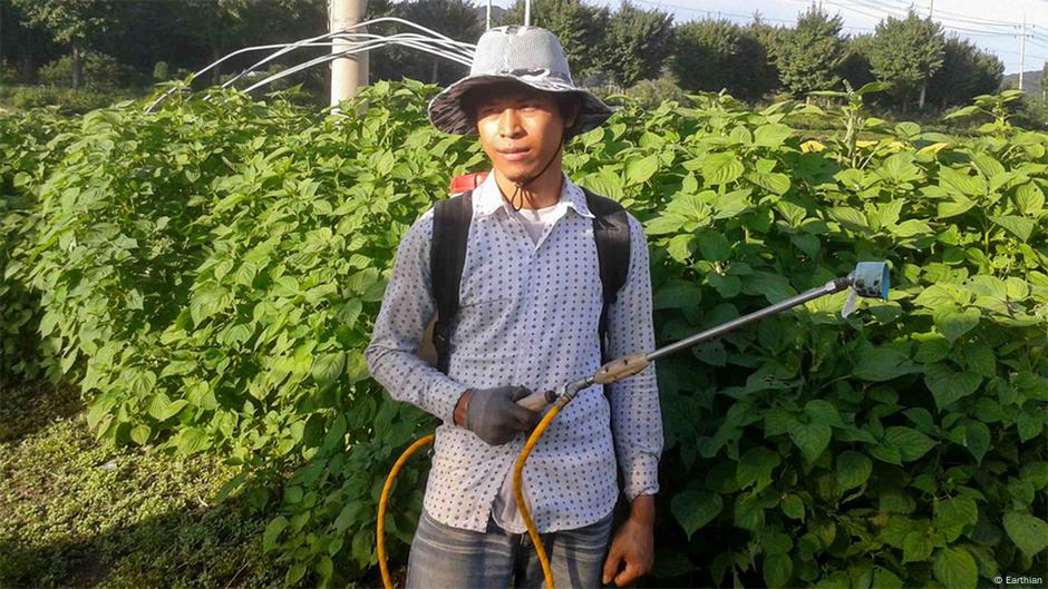 korean farmer hat