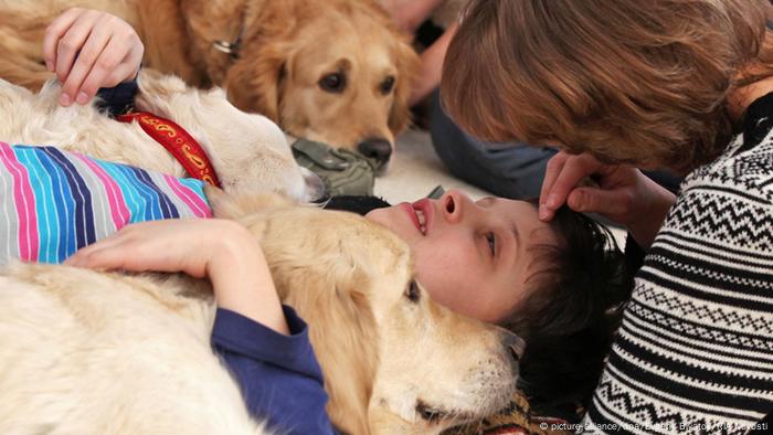 Hunde-Therapie in Russland