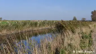 Belgien Entwässerungsgraben in den Marschen des Flusses Ijser