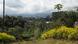Cameroon Cameroon