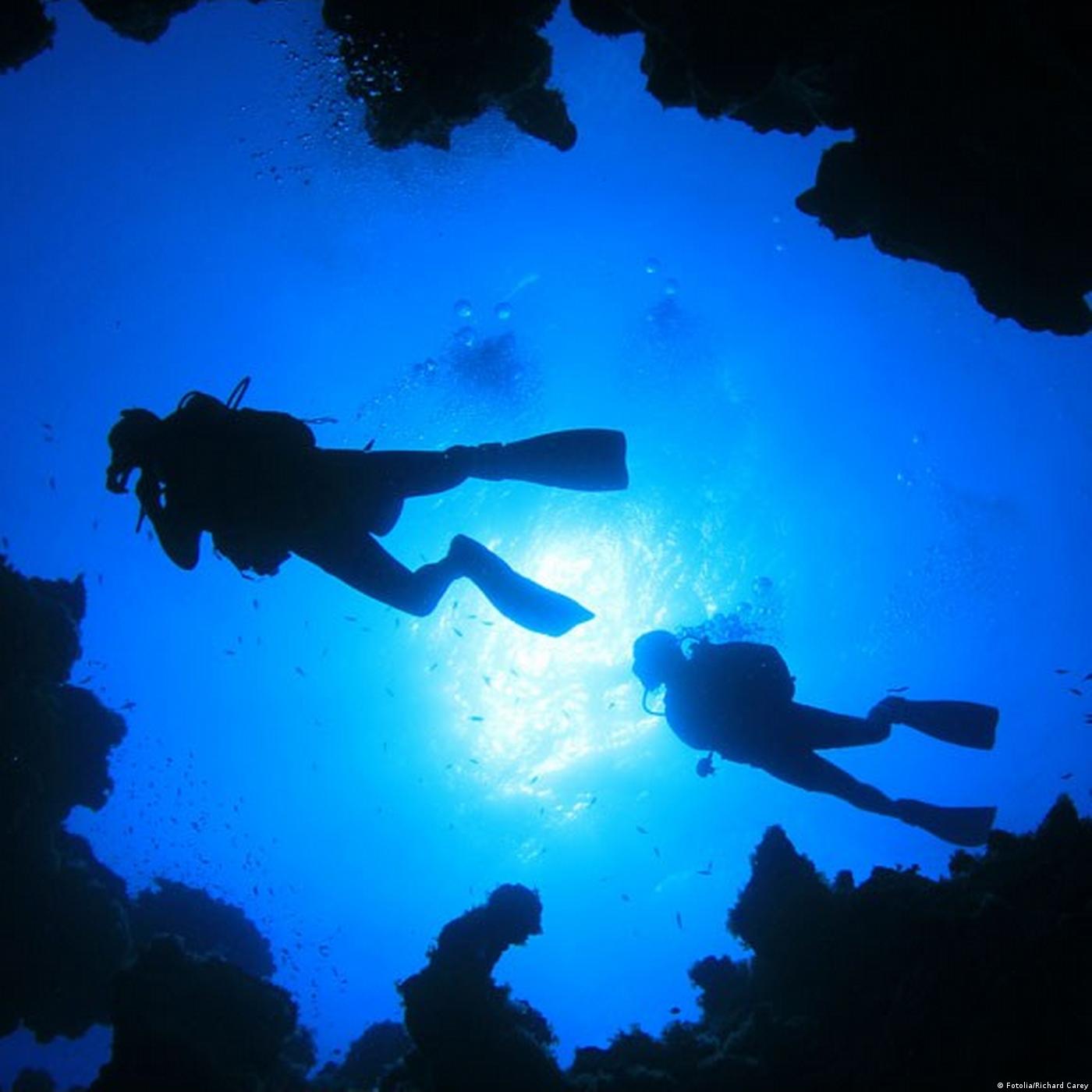 Living Planet: 'Sisters are doin' it!'