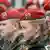 Bundeswehr-Soldaten mit roten Baretten beim Appell, Foto: dpa
