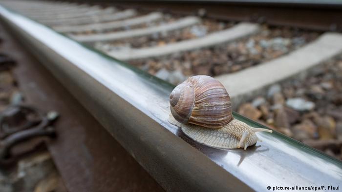 Schneckentempo | DW Deutsch Lernen