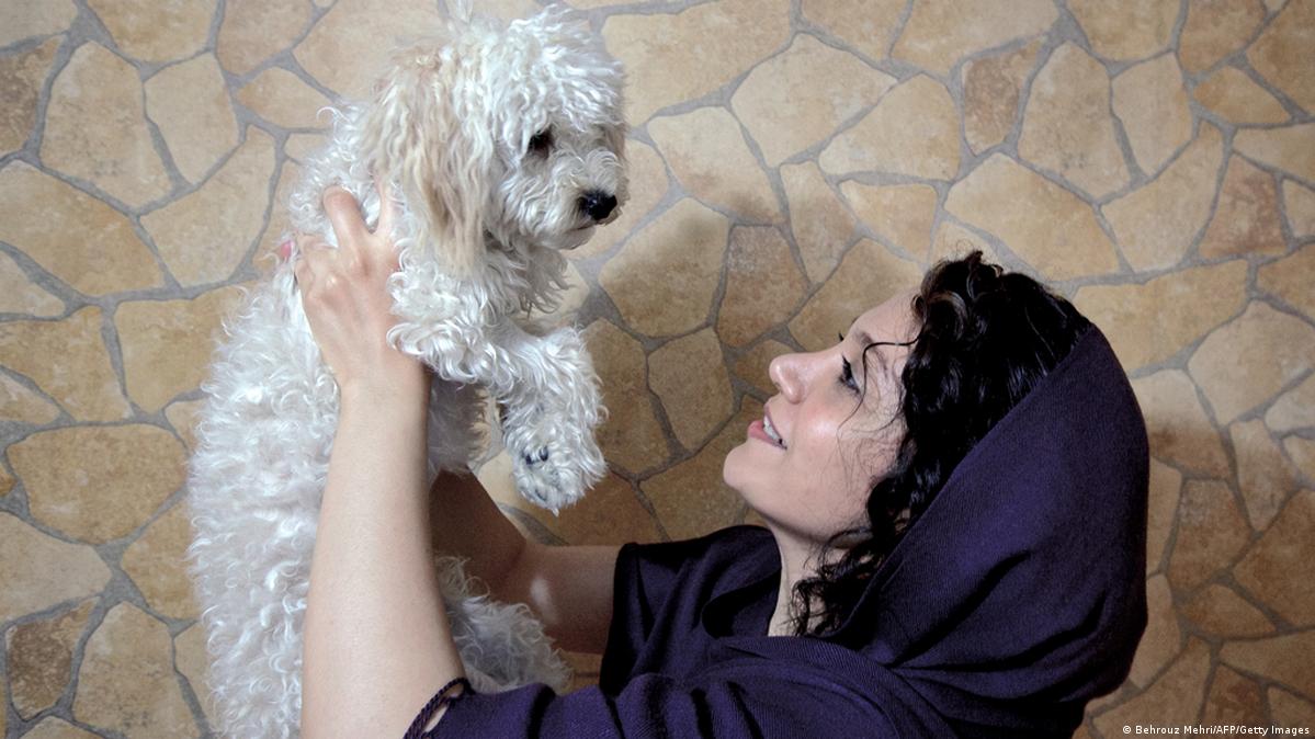 ما سبب العلاقة الخاصة بين الإنسان والكلب؟ – DW – 2015417