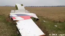Debris from the MH17 crash