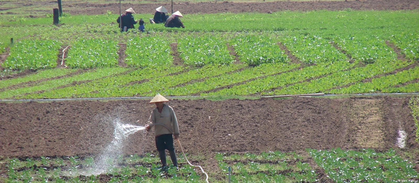  What Is The Main Source Of Irrigation In North India Sources Of 