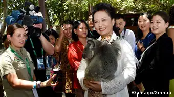 G20 Gipfel in Brisbane Chinas First Lady mit Koala
