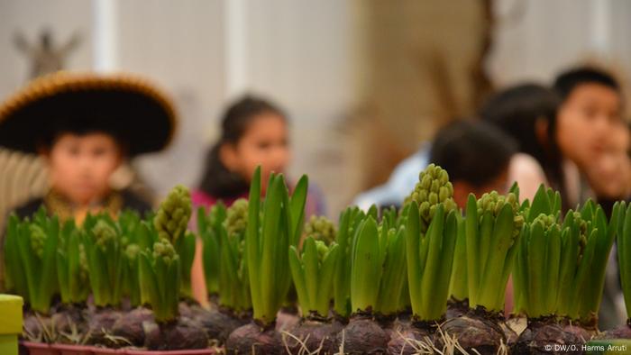 Para que los niños aprendan de la importancia que tiene la naturaleza, serán responsables de cuidar y regar un jacinto durante tres semanas, hasta que florezca. Luego podrán regalárselo a sus papás. Así podrán observar de cerca, cuánto tiempo y dedicación necesita una sola flor. 