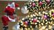 BdT Deutschland Weihnachten Weihnachtsmann am Seil in Potsdam BdT Deutschland Weihnachten Weihnachtsmann am Seil in Potsdam