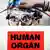 Symbolbild Organhandel Organspende Organentnahme Häflting Todesstrafe Organmafia