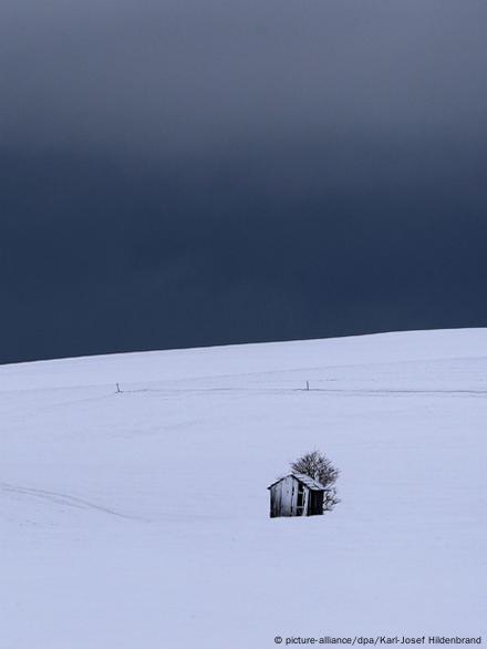 What Is This Polar Vortex That Is Freezing the U.S.? - Scientific American  Blog Network