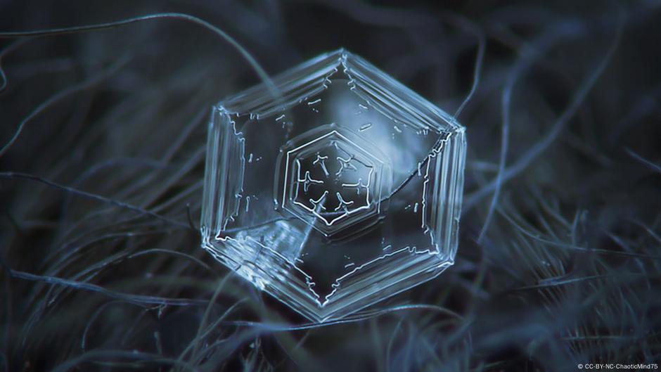 Jedan od bezbroj oblika kristala leda.