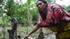 প্রতীকী ছবি প্রতীকী ছবি