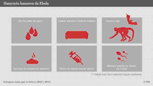 Infografik Ebola Ansteckungswege haussa