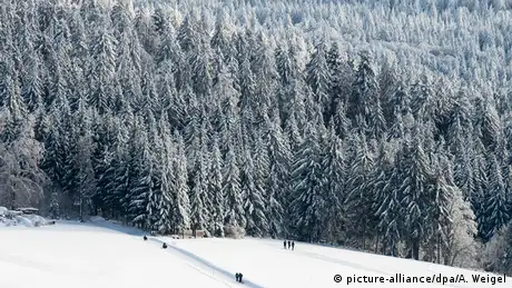 Deutschland Wintersport Wintersportgebiet Schnee Bayerischer Wald