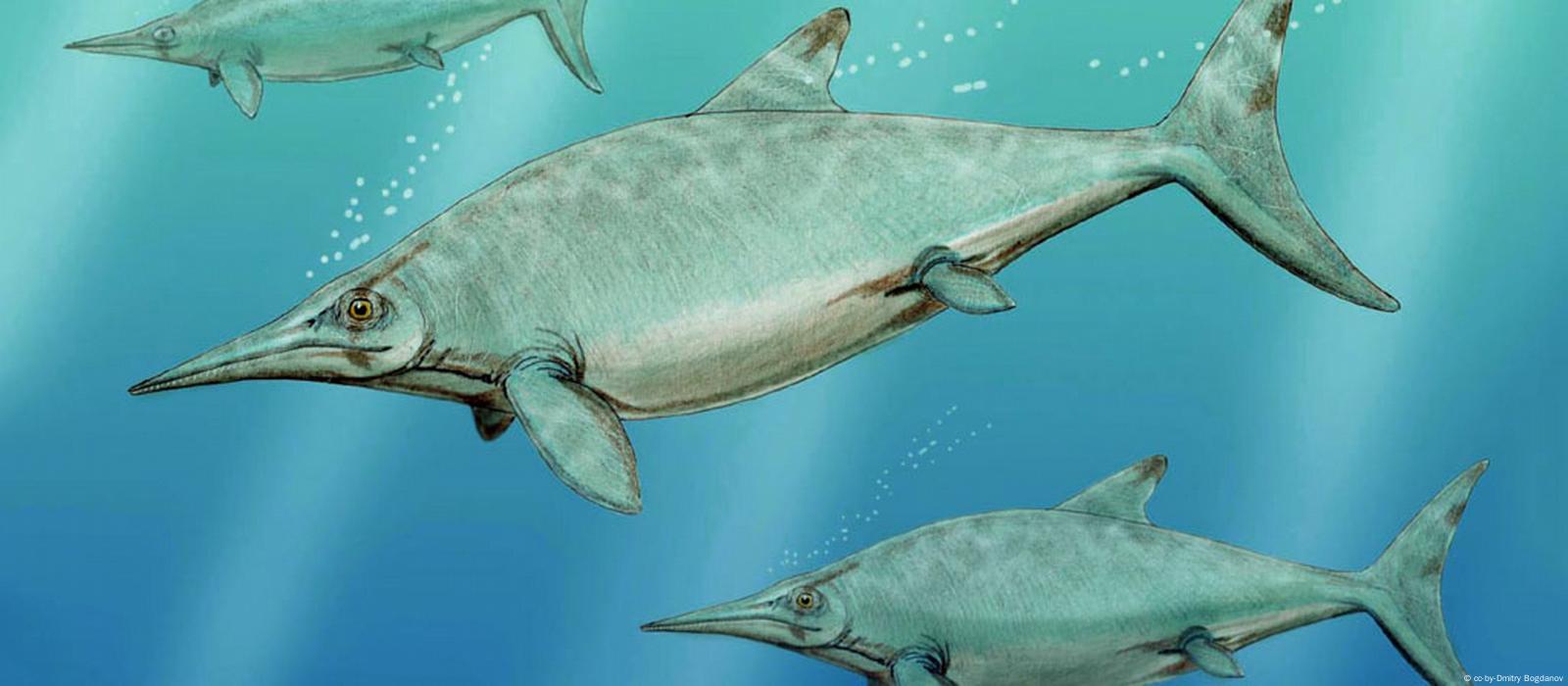 Prehistoric marine reptile discovered in Scotland – DW – 01/12/2015 Prehistoric marine reptile discovered in Scotland – DW – 01/12/2015