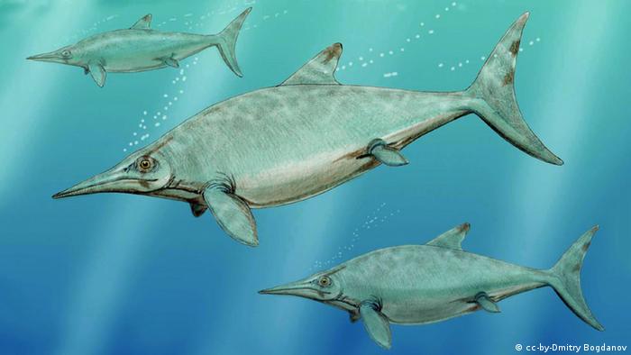 Climate Change Behind Prehistoric Marine Reptile Demise Global Ideas Dw 09 03 16