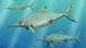 Ichthyosaurus Ichthyosaurus