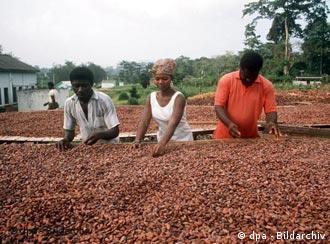 Agricultural workers in Africa
