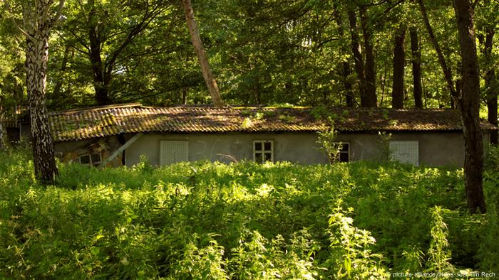 Один из Бараков Сименса