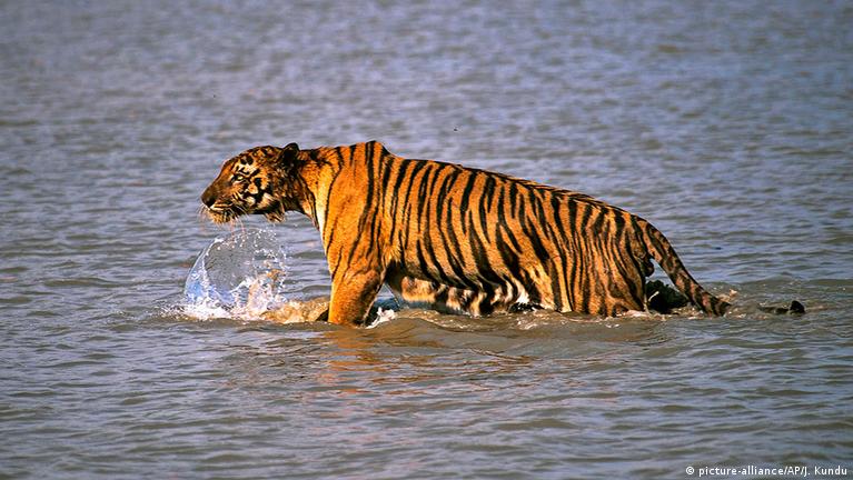 Ана мен бала порно