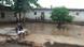 Cólera em Angola Cólera em Angola