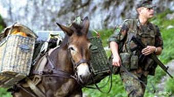 Μουλάρια στην υπηρεσία του στρατού Μουλάρια στην υπηρεσία του στρατού