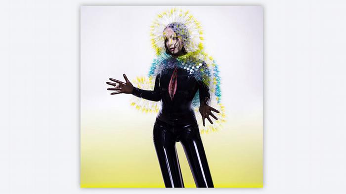 Album cover Björk Vulnicura
