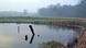 70 Jahre Befreiung KZ Auschwitz (Teich) 70 Jahre Befreiung KZ Auschwitz (Teich)