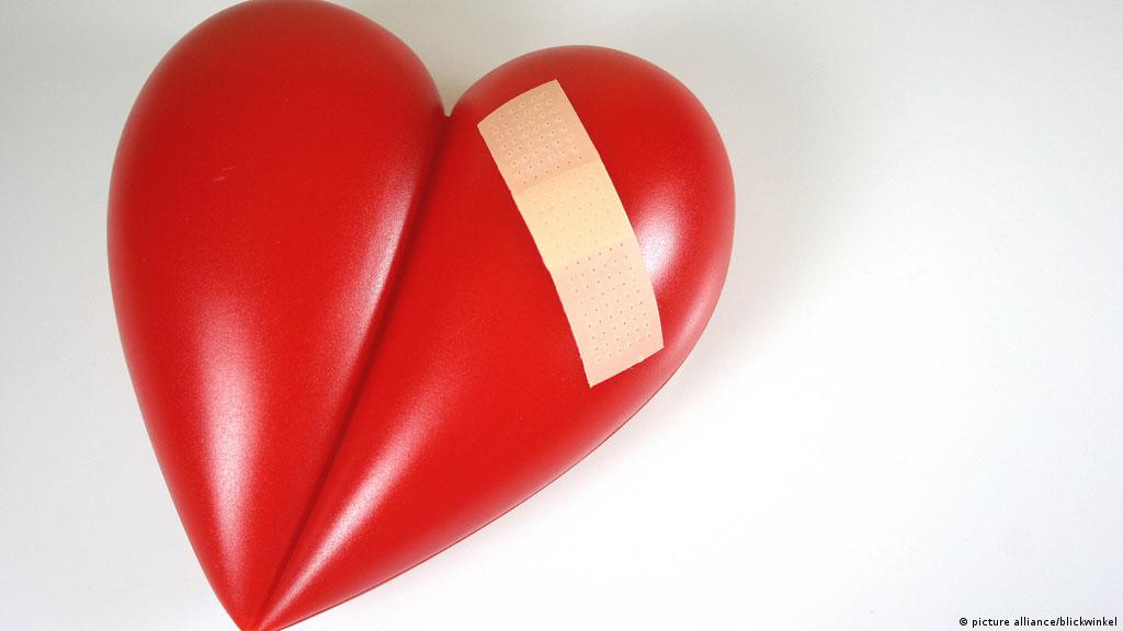 Das Herz Motor Des Lebens Wissen Umwelt Dw 28 01 2015