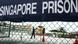 Changi -Gefängnis in Singapur. (Foto: dpa) Changi -Gefängnis in Singapur. (Foto: dpa)