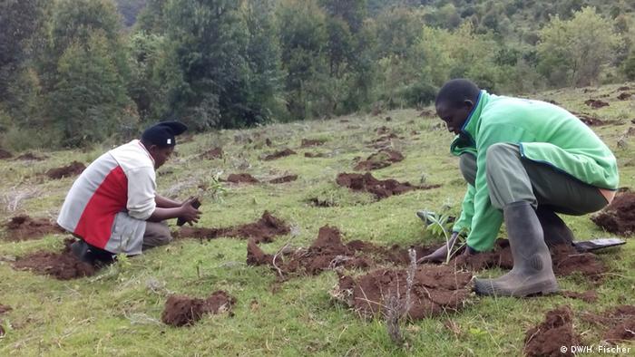 Fotoreportage Aberdare Kenia 2014