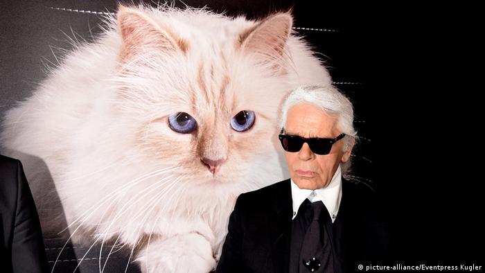 Karl Lagerfeld mit schwarzer Sonnenbrille, weißen Hemd mit Spitzkragen und schwarzen Anzug, hinter ihm ist eine Großaufnahme seiner weiß-grauen Katze Choupette zu sehen (Foto: picture-alliance/Eventpress Kugler).