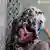 Woman wearing headscarf seen from behind. c) dpa - Bildfunk+++