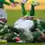 Fußball Bundesliga SV Werder Bremen vs. Bayer 04 Leverkusen, Jubel Bremer Spieler (Foto: PATRIK STOLLARZ/AFP/Getty Images)
