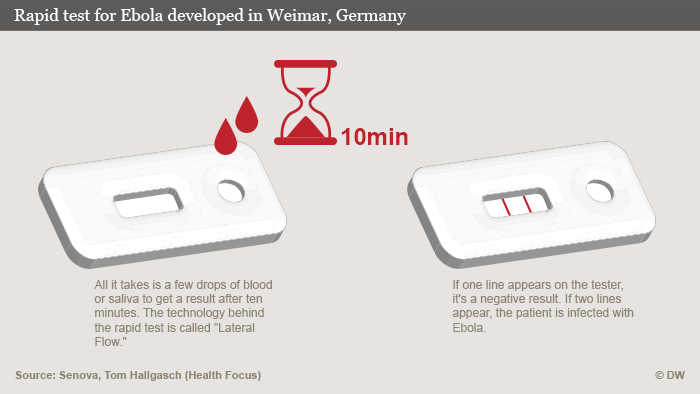 Infografik Ebola-Schnelltest aus Weimar Englisch