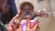 Deutschland Orang-Utan-Mädchen Rieke Deutschland Orang-Utan-Mädchen Rieke