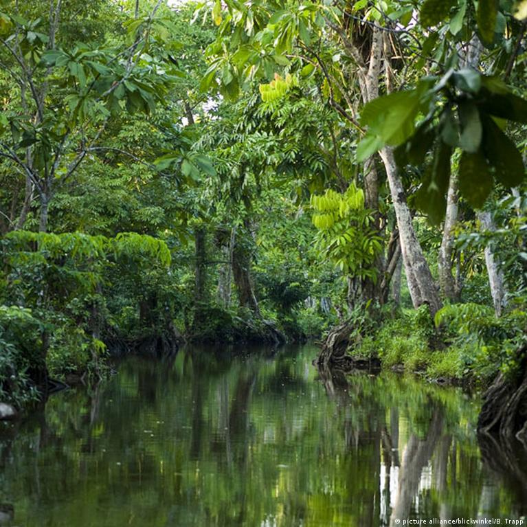 Río que serpentea entre la selva de La Mosquitia.
