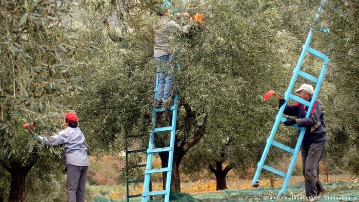 Обширни части от Гърция могат да се превърнат в пустиня.