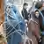 Afghanistan Männer protestieren gegen Burka